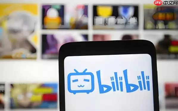 bվ������ʽ��ô����_bվ�����������沼��ģʽ���̡̳�_���ۿ�