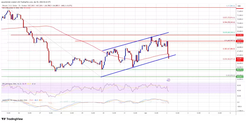 ���رҼ۸񷴵��Ż��������ս��г�����