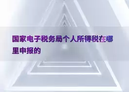 ��������˰��¼�������-��������˰�ٷ���¼�����ɶ