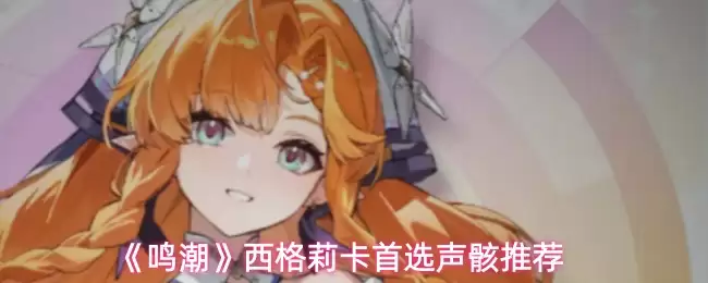 ����������������ѡ�����Ƽ�