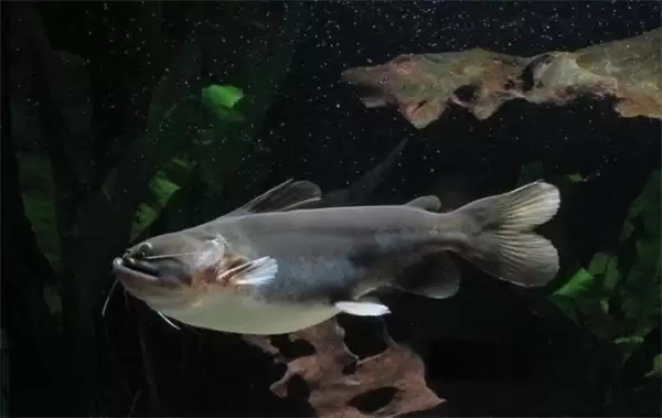 ���溣��3��30�ս��մ�2026