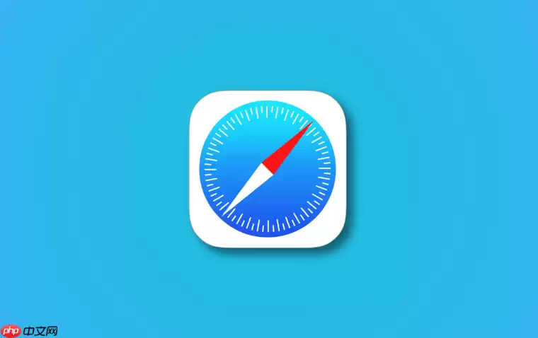 safari�����������Ƶû������ô����