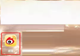 ��ô����΢�����ĵ��˶�̬-΢�����ĵ��˶�̬���η���