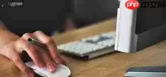 ƴ�����β鿴��������