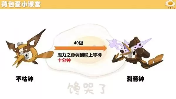 ����������羫�����ؽ�������һ��