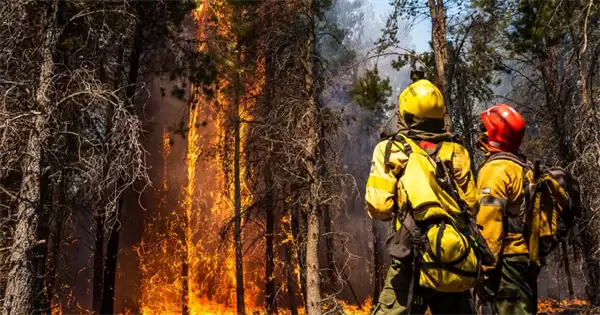 �����´�3��28�մ𰸸���2026