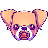 BBOXER��(Baby Boxer)��ʷ�۸����ƣ�