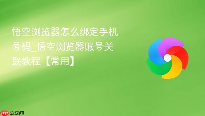 ����������ô���ֻ�����