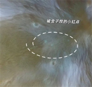 iPhone���Լ��������ϵĳ����� iPhone����������ⷽ��