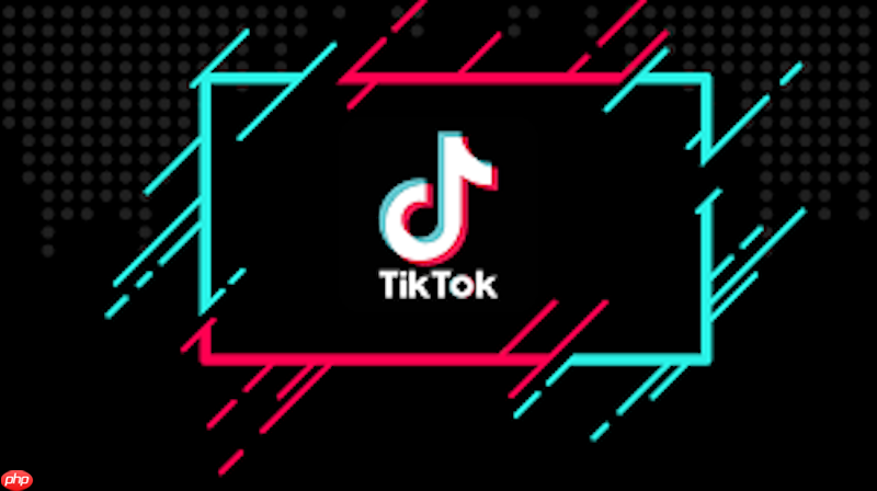 Tiktok������ҳ�����