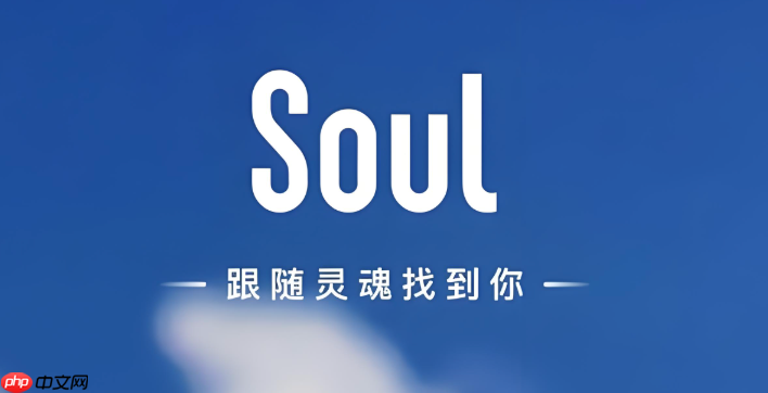 Soul��ô����