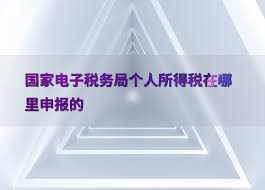 ��������˰��¼�������-��������˰�ٷ���¼�����ɶ