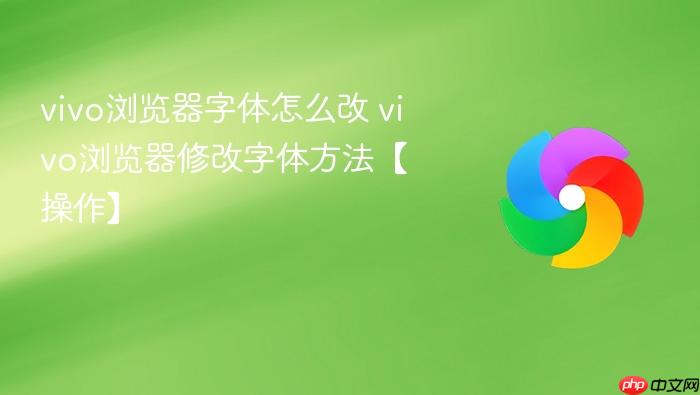 vivo�����������ô��