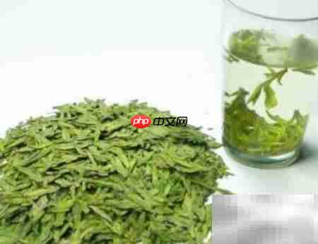 ��Ҷ���ڱ���С����_���ۿ�