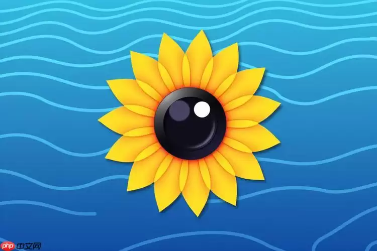 向日葵客户端怎么进行远程iOS控制 向日葵客户端怎么进行远程iOS控制