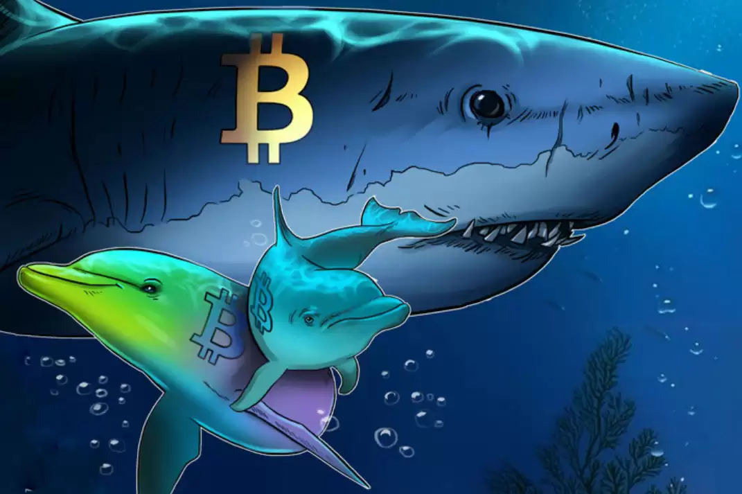 һ���˽���رҿ�ͷ��13��������ٶ��ۻ�,BTC�µ�30%