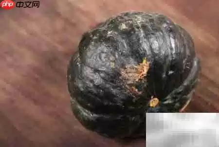 �в������Գ��Ϲ���