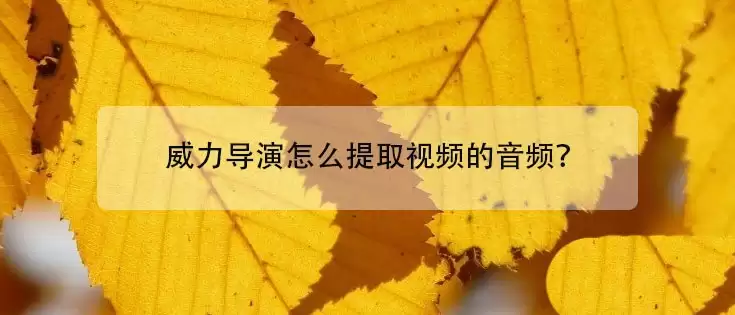 �������������ȡ��Ƶ