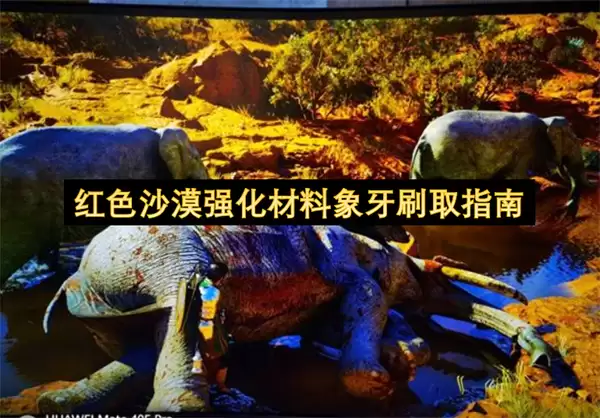 ��ɫɳĮǿ����������ˢȡָ��