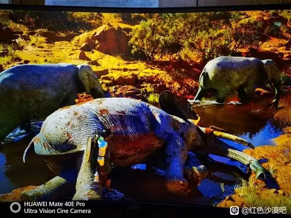 ��ɫɳĮǿ����������ˢȡָ��