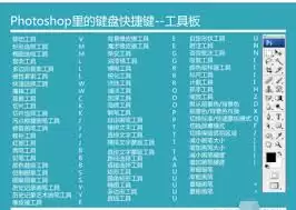 ps重复复制快捷键是什么 ps重复复制快捷键是什么