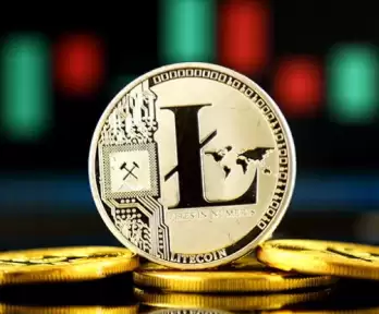 ɽկ���ĸ�������ǰ�� 2025��õ�ɽկ������Щ