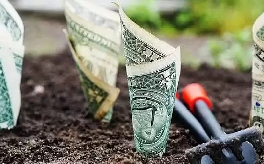 near����ʲô�ҷ�������