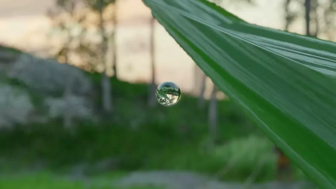 ����ɫɳĮ������ϸ�� һ��Сˮ�龹�ܵ�ӳ���⻷��