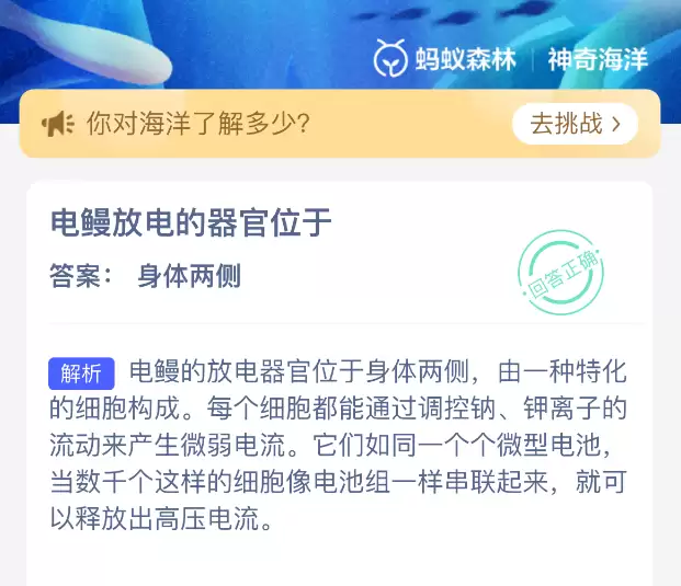 电鳗放电的器官位于 电鳗放电的器官位于
