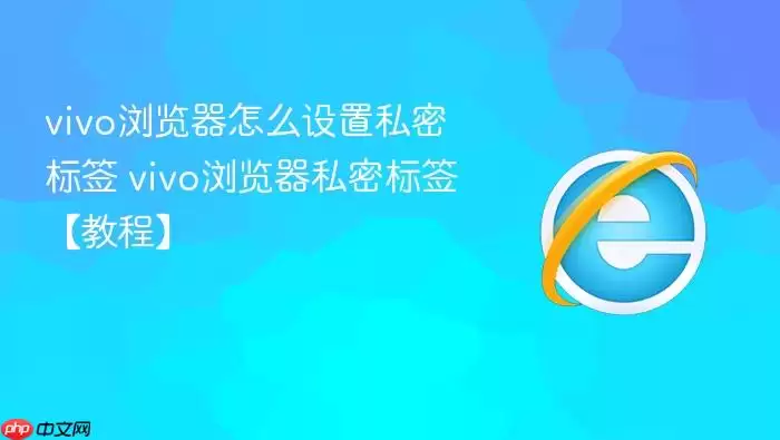 vivo�������ô����˽�ܱ�ǩ