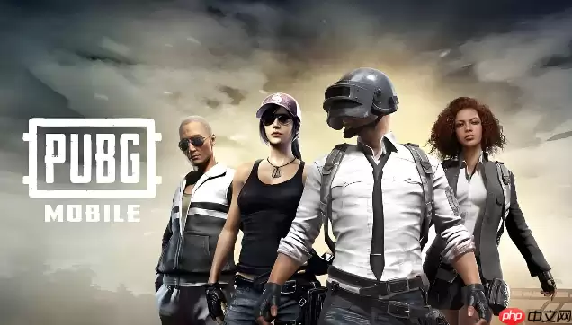 pubg官网入口低配版 pubg官网入口低配版