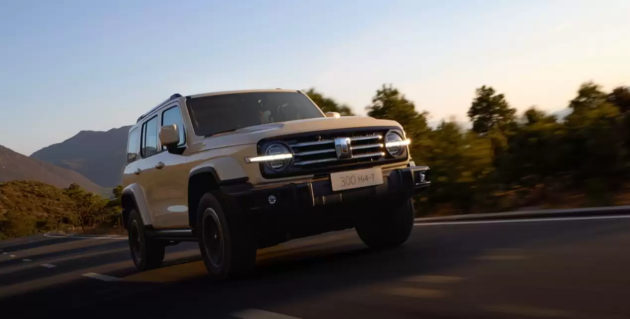 2025��̹��300�춯�������������䳡����ά���