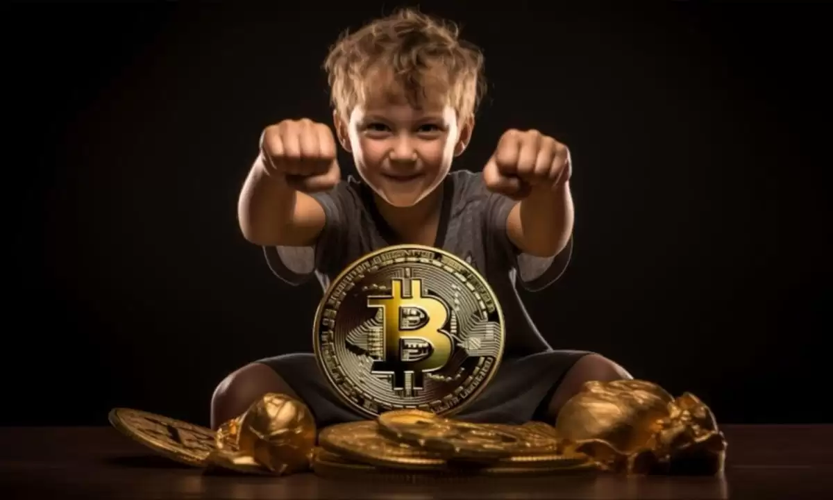 alpaca����ô��