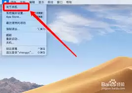 Mac系统怎么查看内存类型 Mac系统怎么查看内存类型