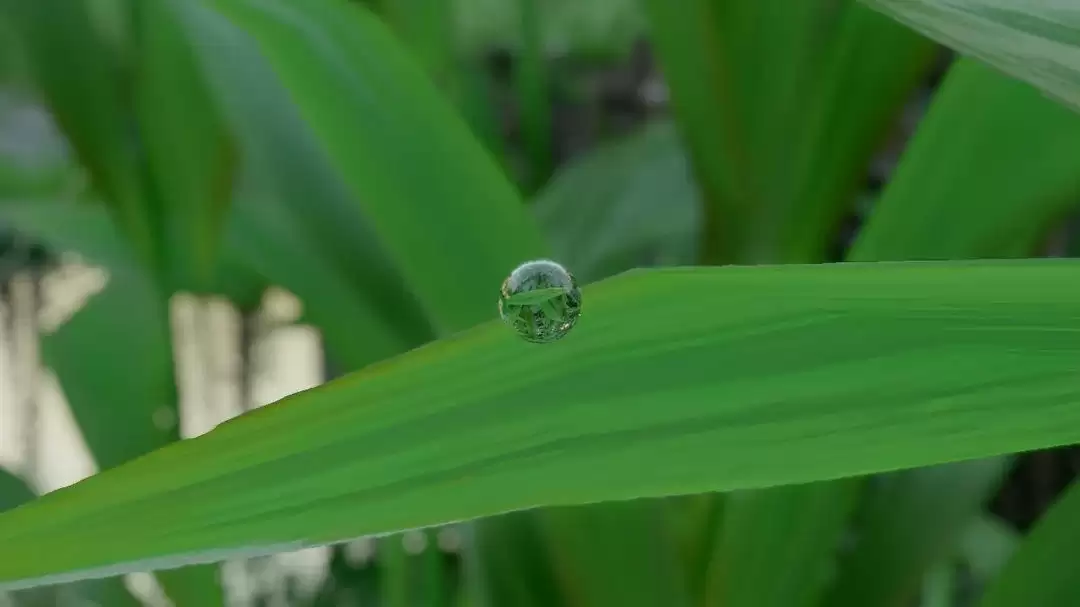 ����ɫɳĮ������ϸ�� һ��Сˮ�龹�ܵ�ӳ���⻷��