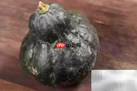 �в������Գ��Ϲ���