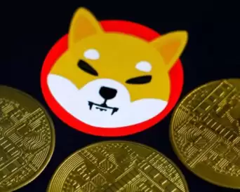 ɽկ���ĸ�������ǰ�� 2025��õ�ɽկ������Щ