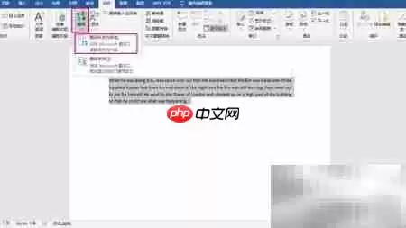 Word��Ӣ���뼼��