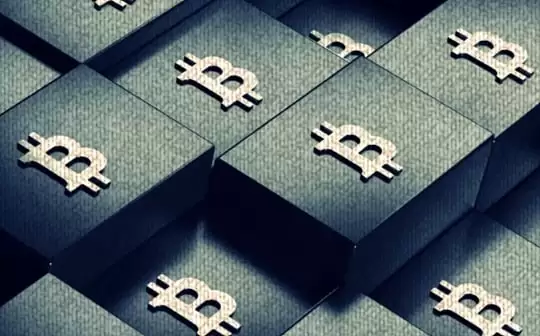 ţ�����Ͷ����Ȩ