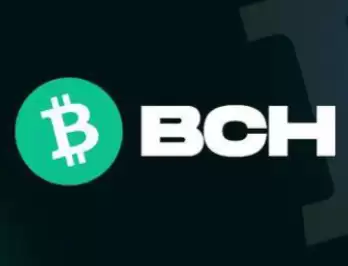 bch��ֵ�ó��ڳ����� ���ر��ֽ��bch�ܴﵽ10,000��Ԫ��