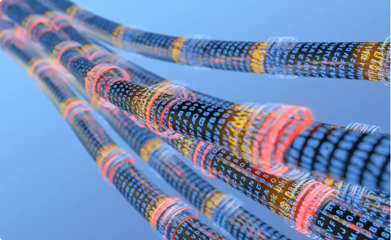 feg���ĸ����ҵı�