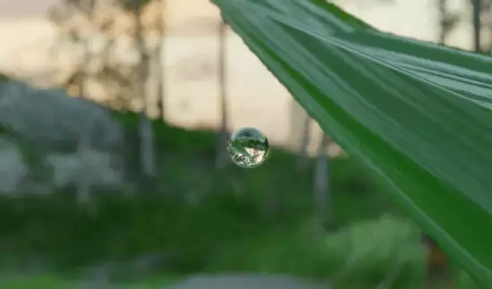 细节狂魔!《红色沙漠》一颗水珠都能完美反射环境 细节狂魔!《红色沙漠》一颗水珠都能完美反射环境