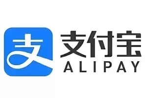 ֧������һ��֧������ָ��-֧������һ�������淨����