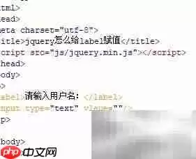 jQuery��θ�label��ֵ