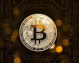 ɽկ���ĸ�������ǰ�� 2025��õ�ɽկ������Щ