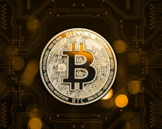 ɽկ���ĸ�������ǰ�� 2025��õ�ɽկ������Щ