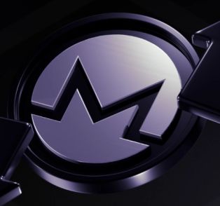 XMR�����ǵ�1000��Ԫ�� XMR����һ����Ͷ����