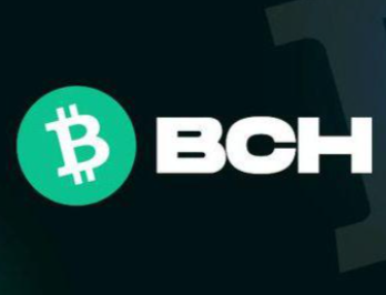 bch��ֵ�ó��ڳ����� ���ر��ֽ��bch�ܴﵽ10,000��Ԫ��