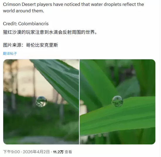 ϸ�ڿ�ħ������ɫɳĮ��һ��ˮ�鶼���������价��