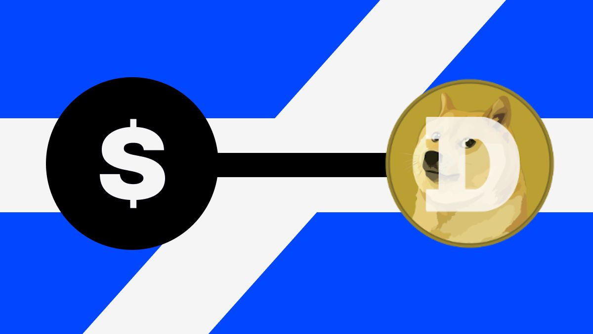 2026���ھ�DOGE����󹷹��ҿ����ʲô�����ѡ��